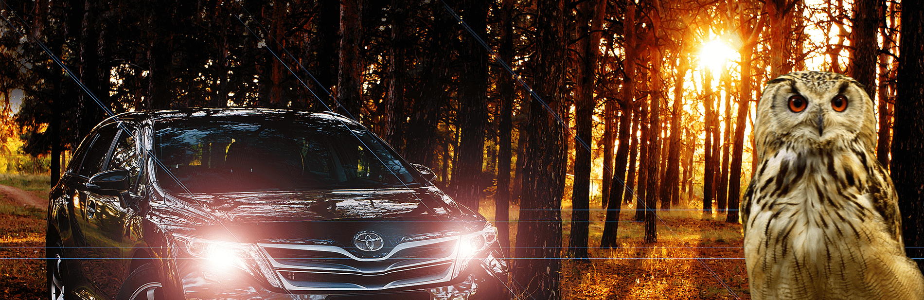 Owl Car S アウル株式会社 岩槻区の中古自動車販売ならお任せください